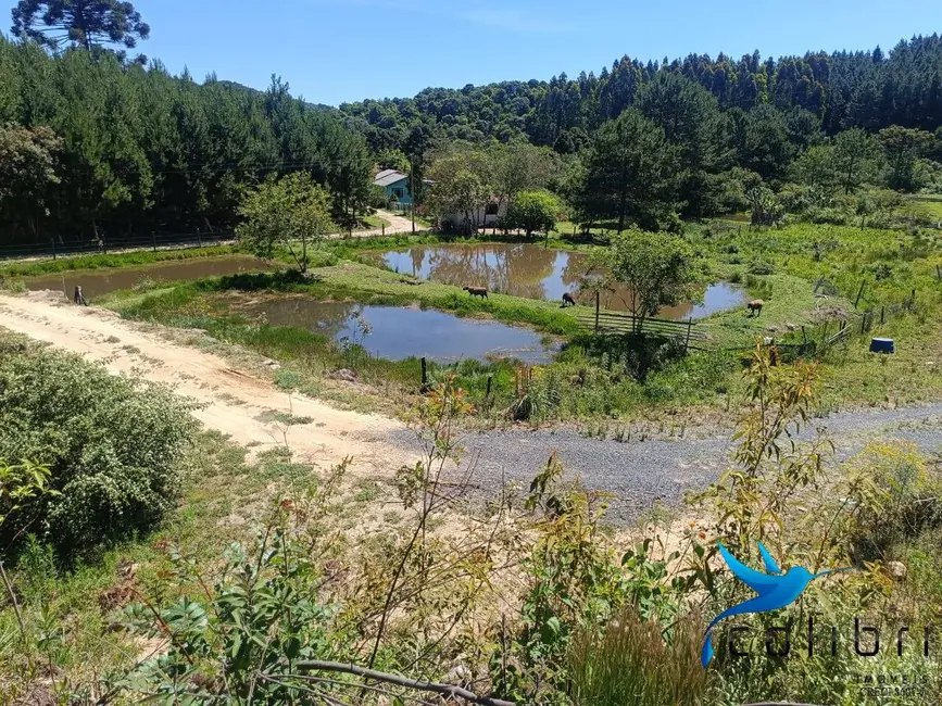Foto 6 de Chácara com 3 quartos à venda, 8470m2 em Agudos Do Sul - PR