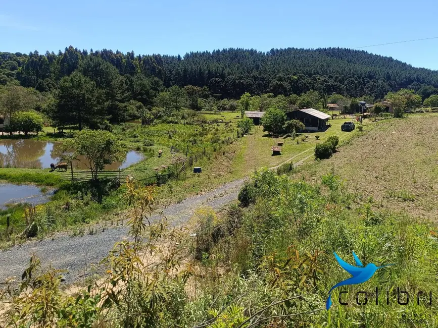 Foto 7 de Chácara com 3 quartos à venda, 8470m2 em Agudos Do Sul - PR