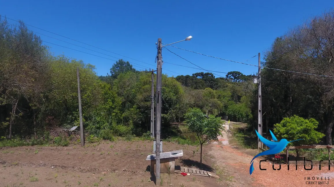 Foto 3 de Chácara com 3 quartos à venda, 15040m2 em Agudos Do Sul - PR
