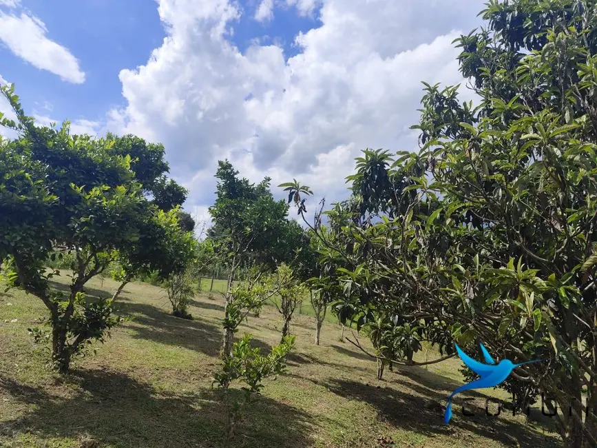 Foto 8 de Chácara com 2 quartos à venda, 5177m2 em Quitandinha - PR