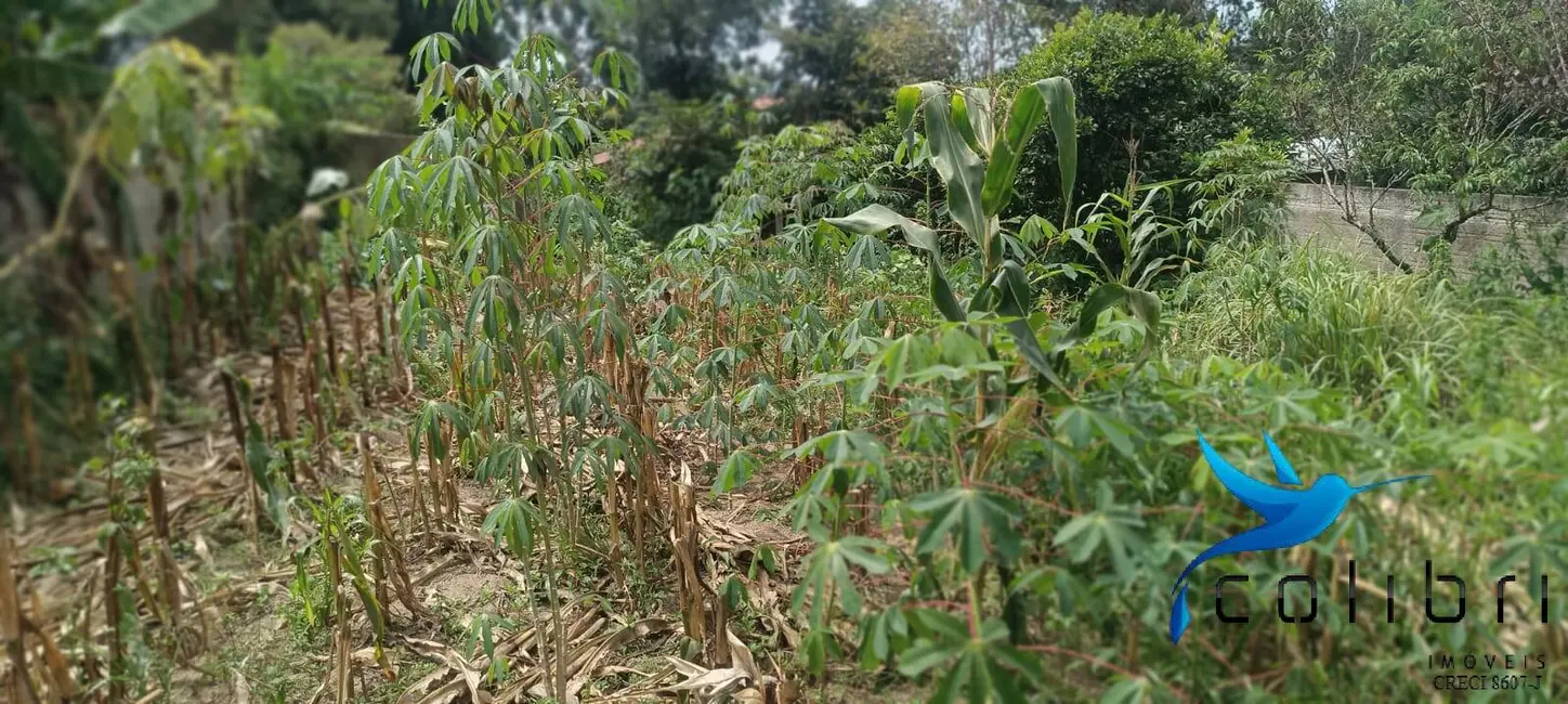 Foto 9 de Casa com 2 quartos à venda, 648m2 em Agudos Do Sul - PR