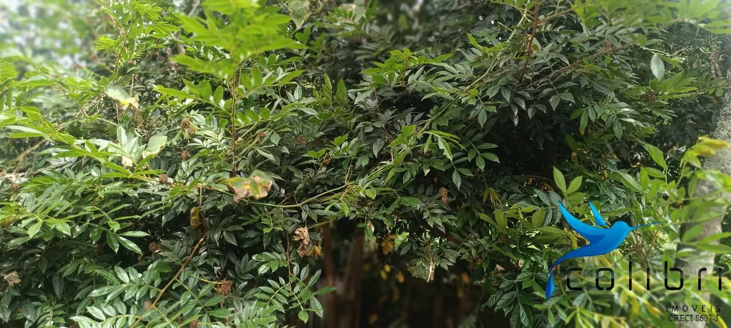 Foto 8 de Casa com 2 quartos à venda, 648m2 em Agudos Do Sul - PR