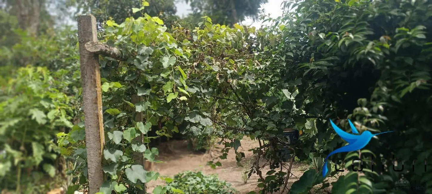 Foto 6 de Casa com 2 quartos à venda, 648m2 em Agudos Do Sul - PR