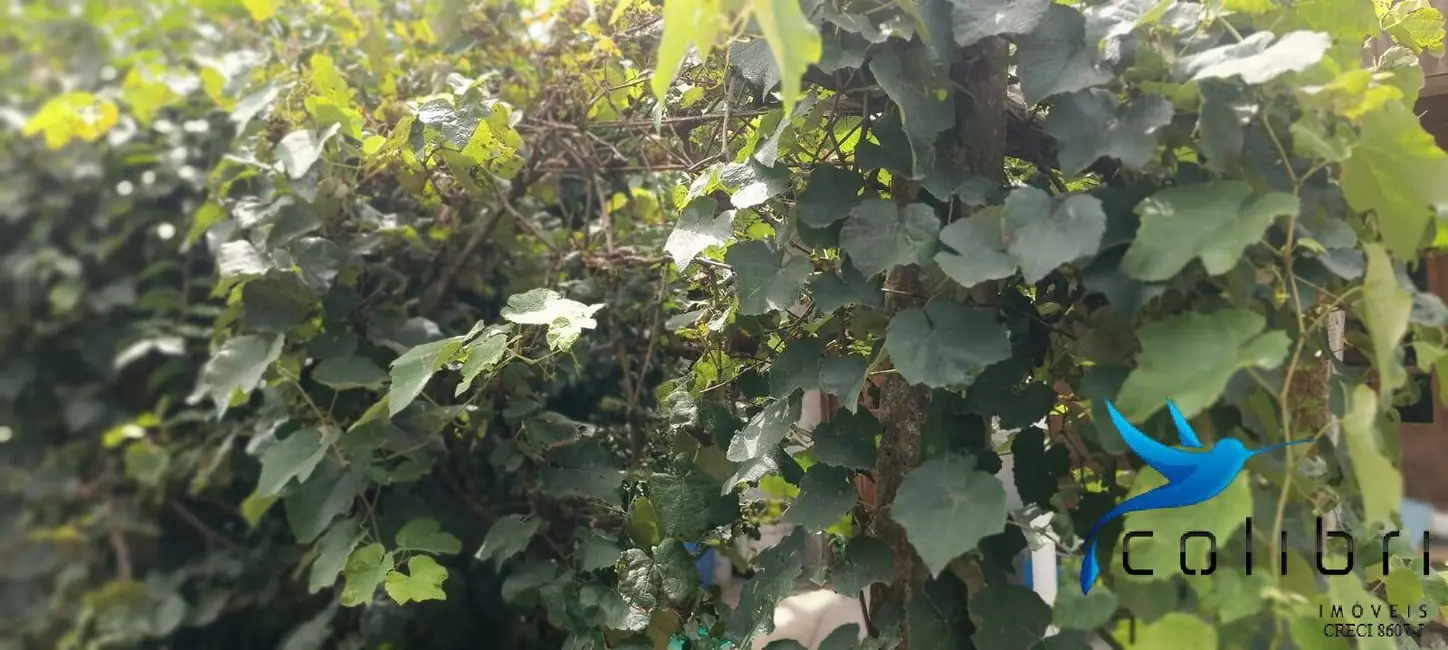 Foto 7 de Casa com 2 quartos à venda, 648m2 em Agudos Do Sul - PR