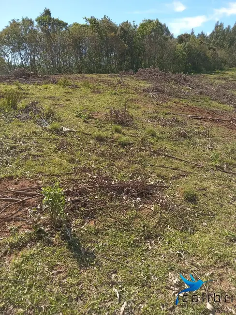 Foto 3 de Chácara à venda, 50772m2 em Agudos Do Sul - PR