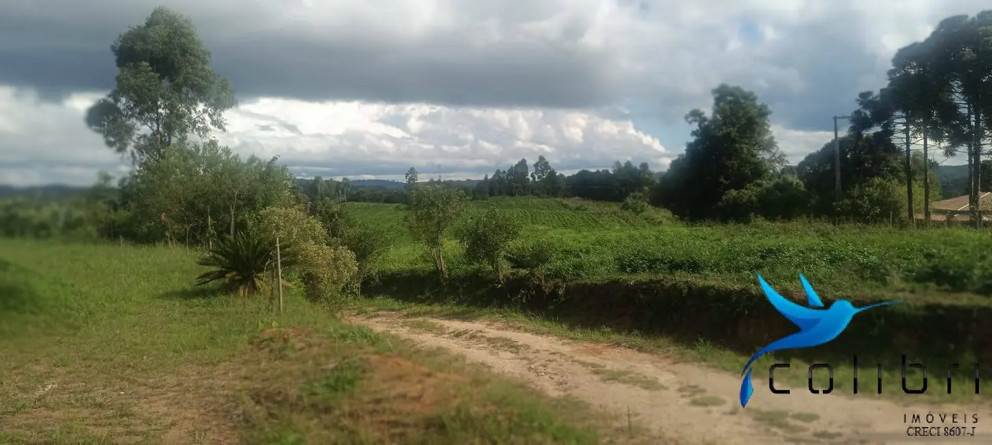 Foto 8 de Chácara com 1 quarto à venda, 218574m2 em Mandirituba - PR
