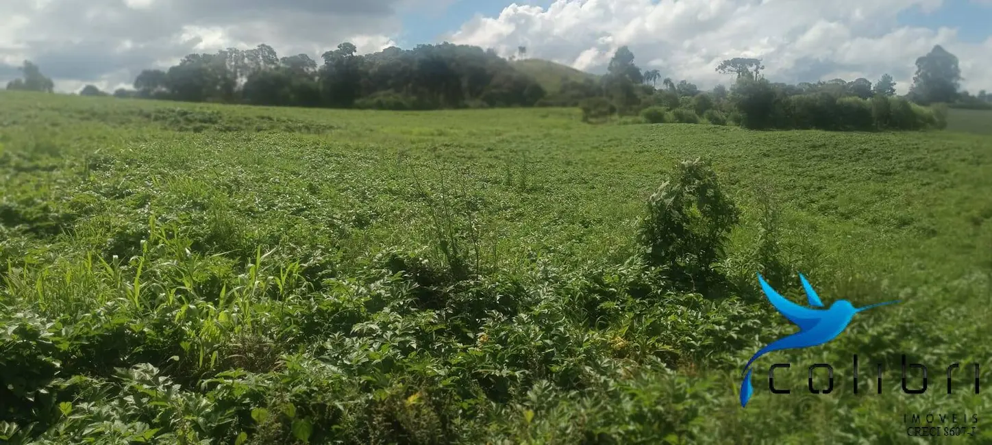 Foto 3 de Chácara com 1 quarto à venda, 218574m2 em Mandirituba - PR