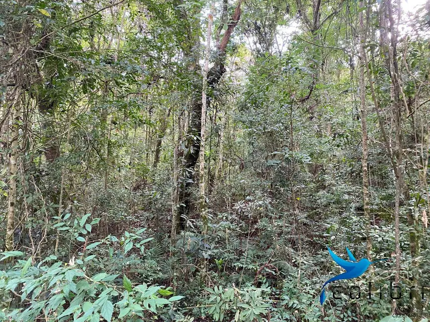 Foto 9 de Chácara à venda, 12100m2 em Agudos Do Sul - PR