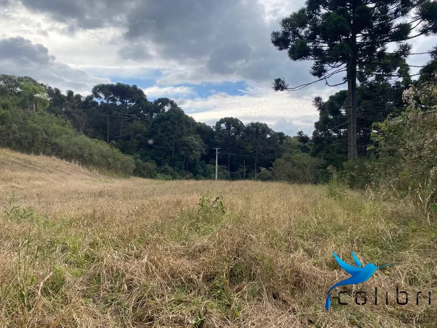 Foto 2 de Chácara à venda, 12100m2 em Agudos Do Sul - PR