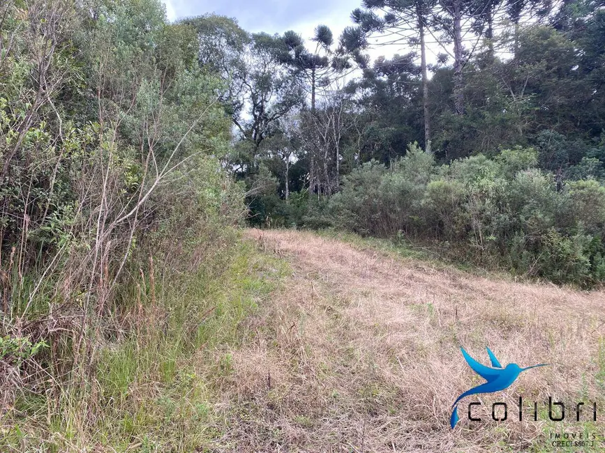 Foto 5 de Chácara à venda, 12100m2 em Agudos Do Sul - PR