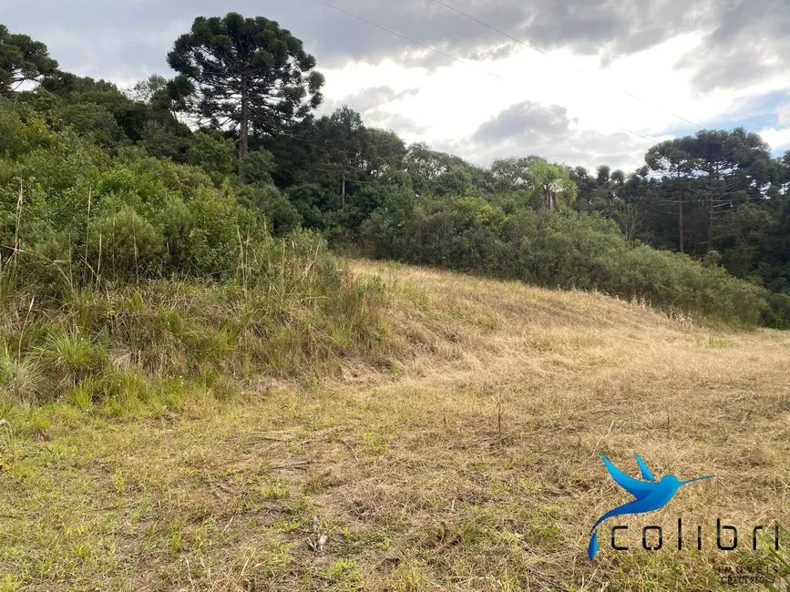 Foto 3 de Chácara à venda, 12100m2 em Agudos Do Sul - PR