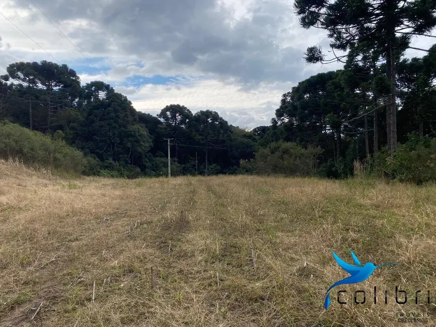 Foto 4 de Chácara à venda, 12100m2 em Agudos Do Sul - PR