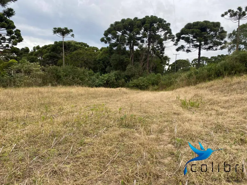 Foto 8 de Chácara à venda, 12100m2 em Agudos Do Sul - PR