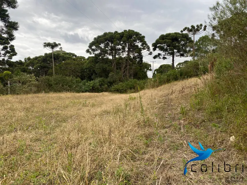 Foto 6 de Chácara à venda, 12100m2 em Agudos Do Sul - PR