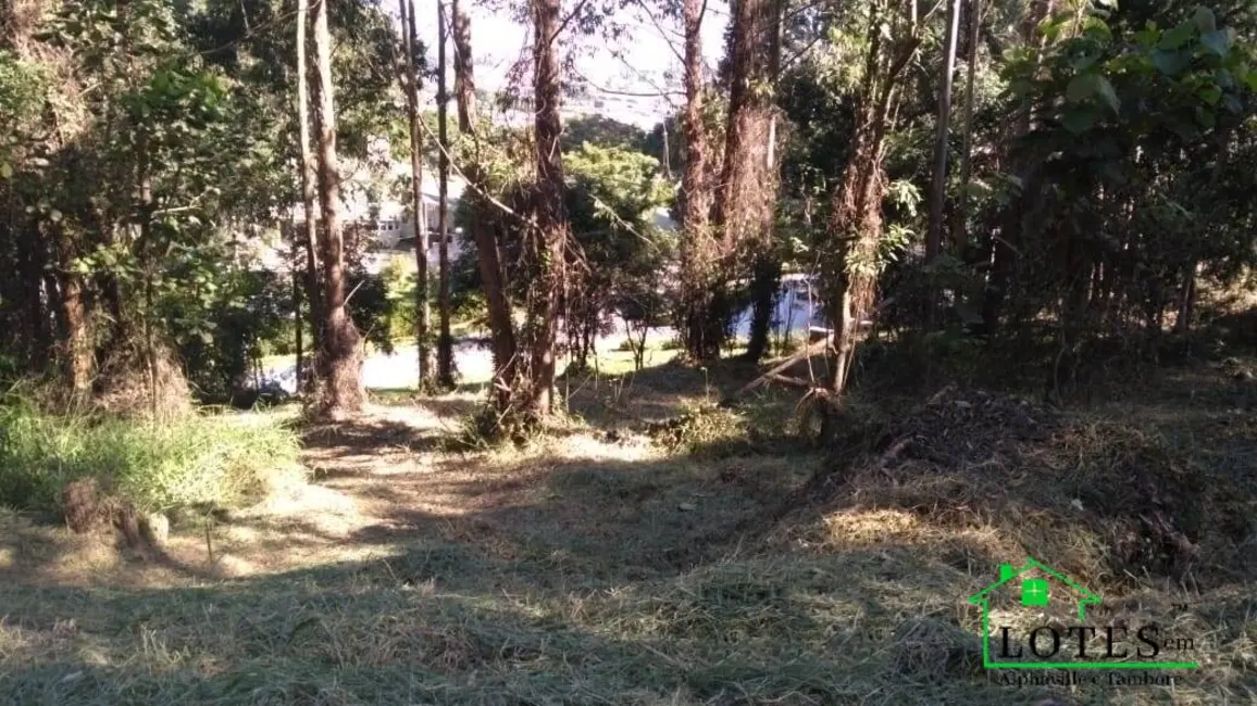 Foto 9 de Lote de Condomínio à venda, 2470m2 em Tamboré, Barueri - SP