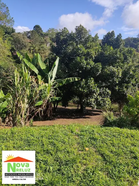 Chácara com 2 quartos à venda em Jardim Ana Rosa (Palmeiras), Suzano - SP - imagem 7 Foto 7 de Chácara com 2 quartos à venda em Jardim Ana Rosa (Palmeiras), Suzano - SP