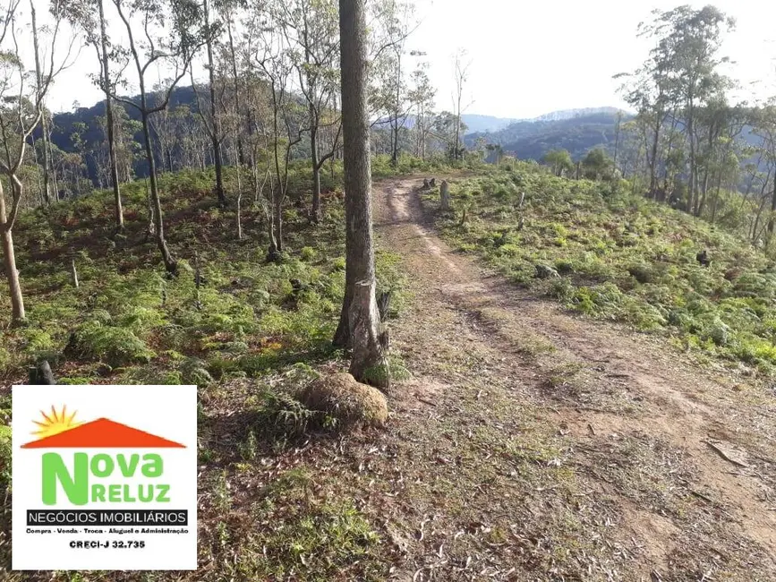 Foto 4 de Terreno / Lote à venda, 5600m2 em Ribeirao Pires - SP