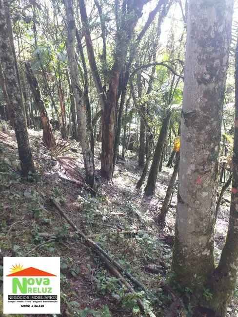 Foto 7 de Terreno / Lote à venda, 1300m2 em Chácara Engenho da Serra, Santo Andre - SP