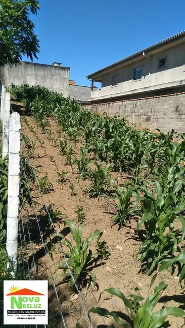 Terreno / Lote à venda, 395m2 em Parque Palmeiras, Suzano - SP - imagem 3 Foto 3 de Terreno / Lote à venda, 395m2 em Parque Palmeiras, Suzano - SP