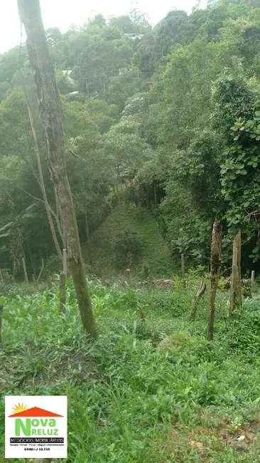 Chácara com 3 quartos à venda, 1300m2 em Parque Palmeiras, Suzano - SP - imagem 9 Foto 9 de Chácara com 3 quartos à venda, 1300m2 em Parque Palmeiras, Suzano - SP