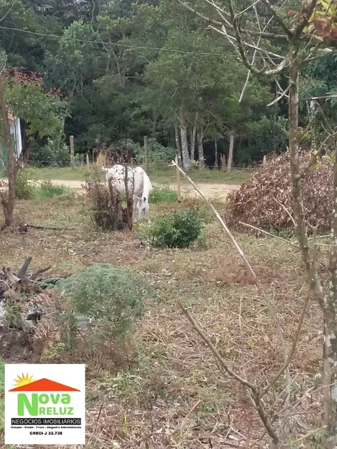 Foto 2 de Terreno / Lote à venda, 5115m2 em Parque Palmeiras, Suzano - SP