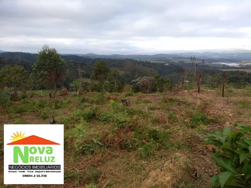 Terreno / Lote à venda, 5115m2 em Parque Palmeiras, Suzano - SP - imagem 7 Foto 7 de Terreno / Lote à venda, 5115m2 em Parque Palmeiras, Suzano - SP