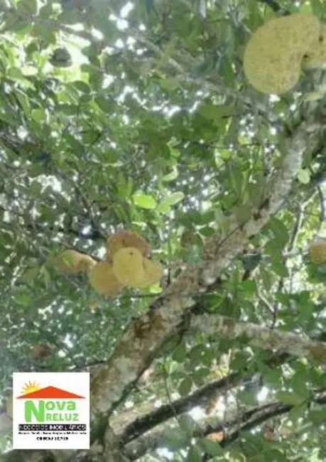 Foto 11 de Chácara à venda, 3425m2 em Chácaras Reunidas Guaio, Suzano - SP