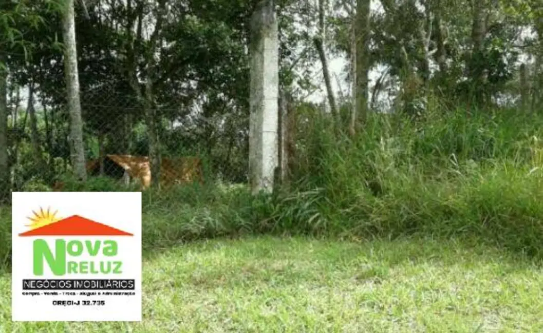 Chácara à venda, 3425m2 em Chácaras Reunidas Guaio, Suzano - SP - imagem 9 Foto 9 de Chácara à venda, 3425m2 em Chácaras Reunidas Guaio, Suzano - SP