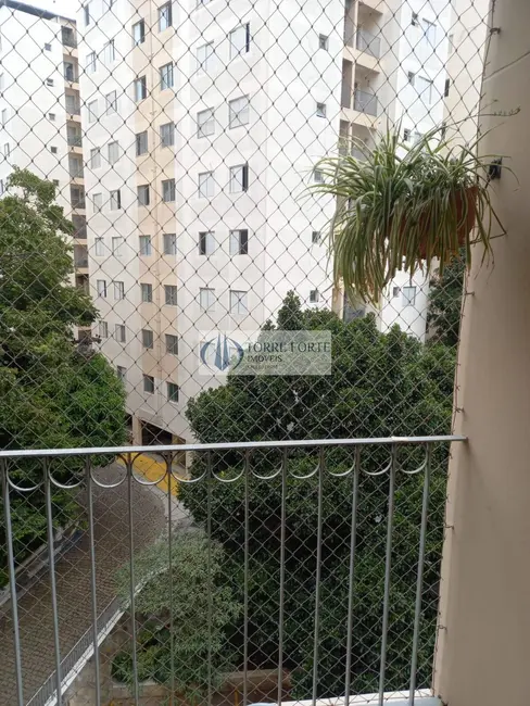 Foto 1 de Apartamento com 3 quartos à venda, 75m2 em Parque Tomas Saraiva, São Paulo - SP