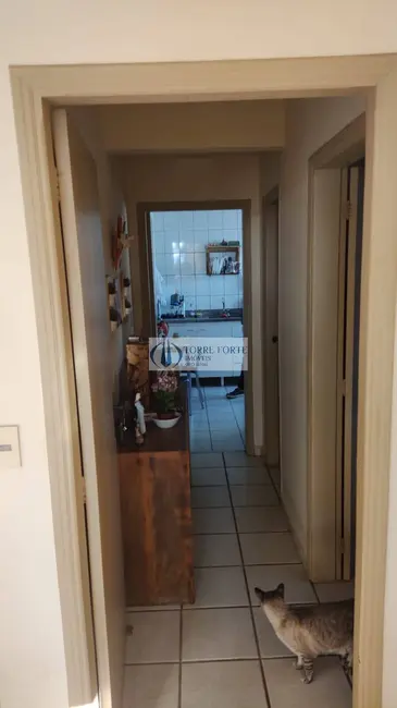 Apartamento com 2 quartos à venda, 98m2 em Centro, Araraquara - SP - imagem 4 Foto 4 de Apartamento com 2 quartos à venda, 98m2 em Centro, Araraquara - SP