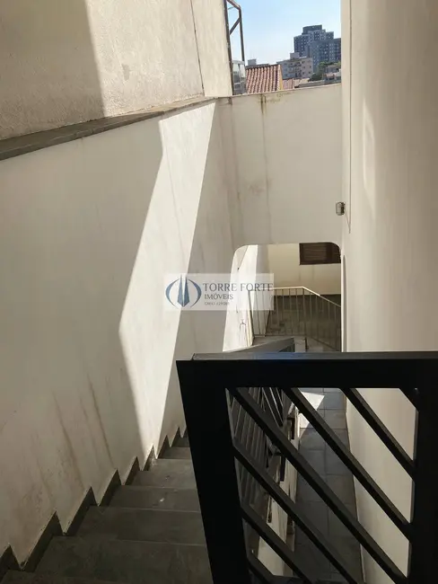 Sobrado com 3 quartos à venda, 244m2 em Vila Camilópolis, Santo Andre - SP - imagem 9 Foto 9 de Sobrado com 3 quartos à venda, 244m2 em Vila Camilópolis, Santo Andre - SP