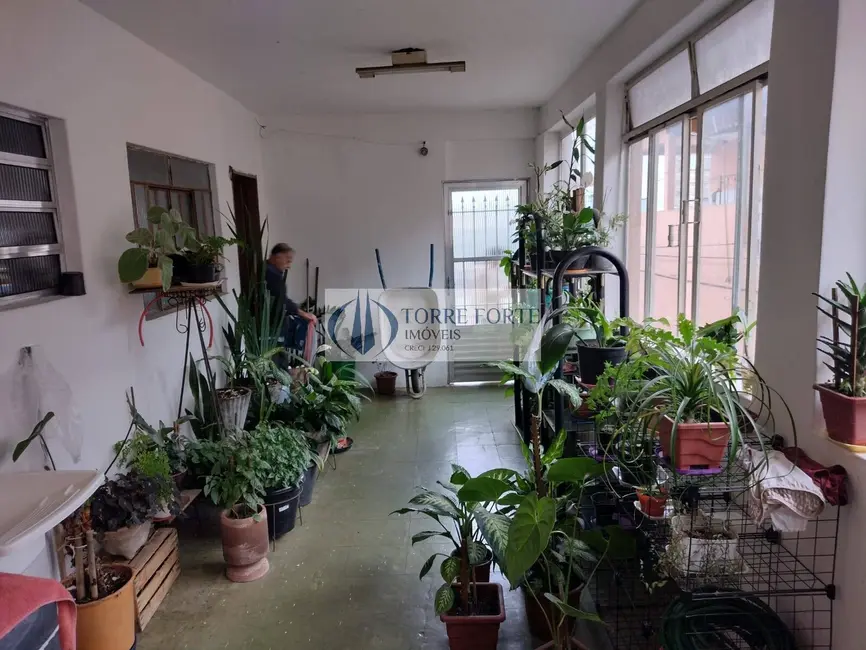 Foto 5 de Casa com 4 quartos à venda, 230m2 em Jardim Colorado, São Paulo - SP