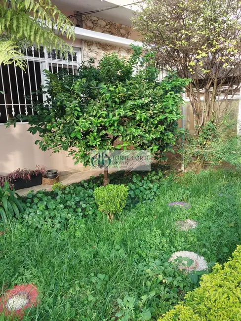 Foto 4 de Casa com 3 quartos à venda, 176m2 em Vila Granada, São Paulo - SP