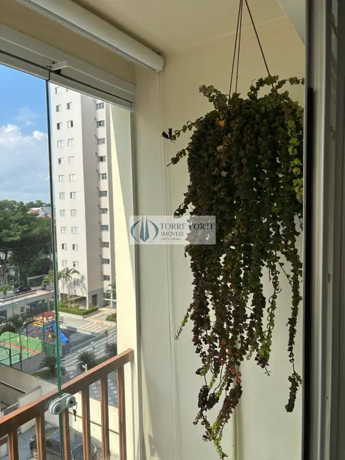 Apartamento com 3 quartos à venda, 62m2 em Vila Formosa, São Paulo - SP - imagem 4 Foto 4 de Apartamento com 3 quartos à venda, 62m2 em Vila Formosa, São Paulo - SP