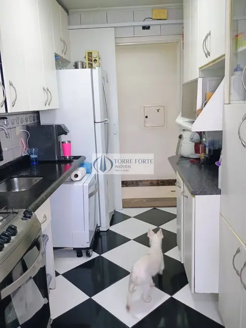 Foto 4 de Apartamento com 3 quartos à venda, 65m2 em Chácara Belenzinho, São Paulo - SP