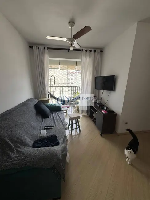 Apartamento com 3 quartos à venda, 64m2 em Chácara Belenzinho, São Paulo - SP - imagem 1 Foto 1 de Apartamento com 3 quartos à venda, 64m2 em Chácara Belenzinho, São Paulo - SP