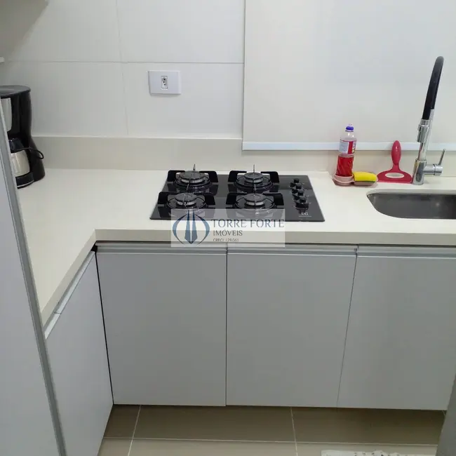 Foto 3 de Apartamento com 2 quartos à venda, 45m2 em Vila Euthalia, São Paulo - SP