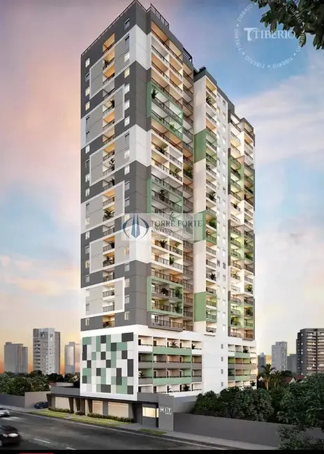 Foto 1 de Apartamento com 2 quartos à venda, 47m2 em Mooca, São Paulo - SP