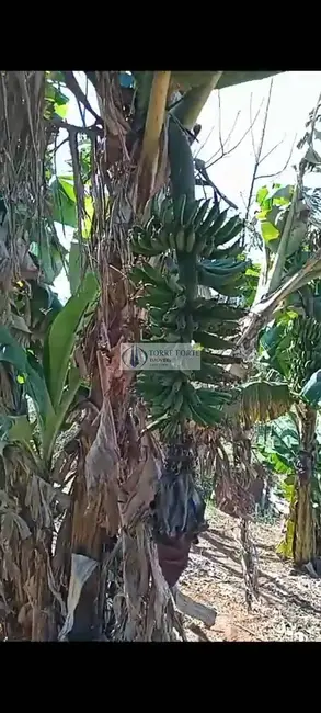 Foto 7 de Terreno / Lote à venda, 1000m2 em Jardim América, Braganca Paulista - SP