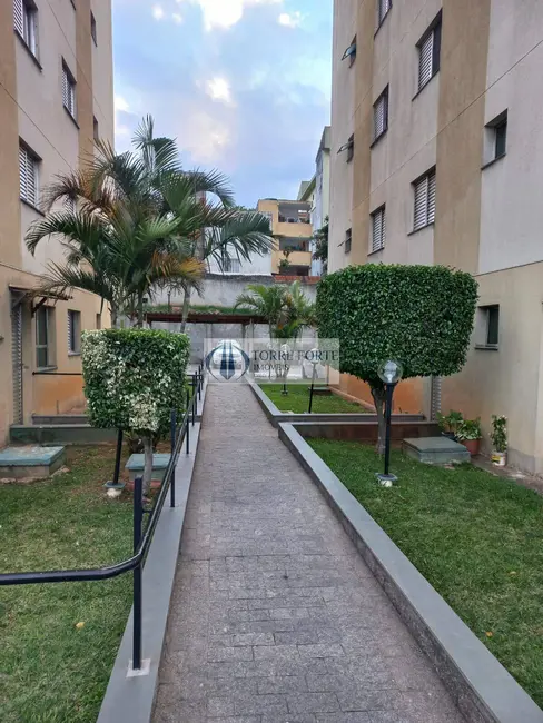 Foto 4 de Apartamento com 3 quartos à venda, 58m2 em Cangaíba, São Paulo - SP