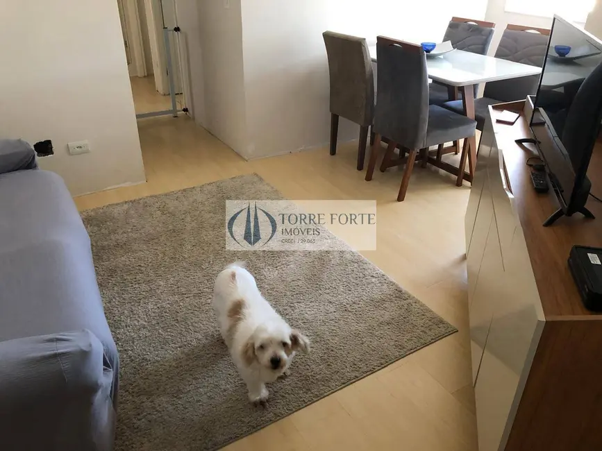 Foto 3 de Apartamento com 3 quartos à venda, 60m2 em Chácara Belenzinho, São Paulo - SP