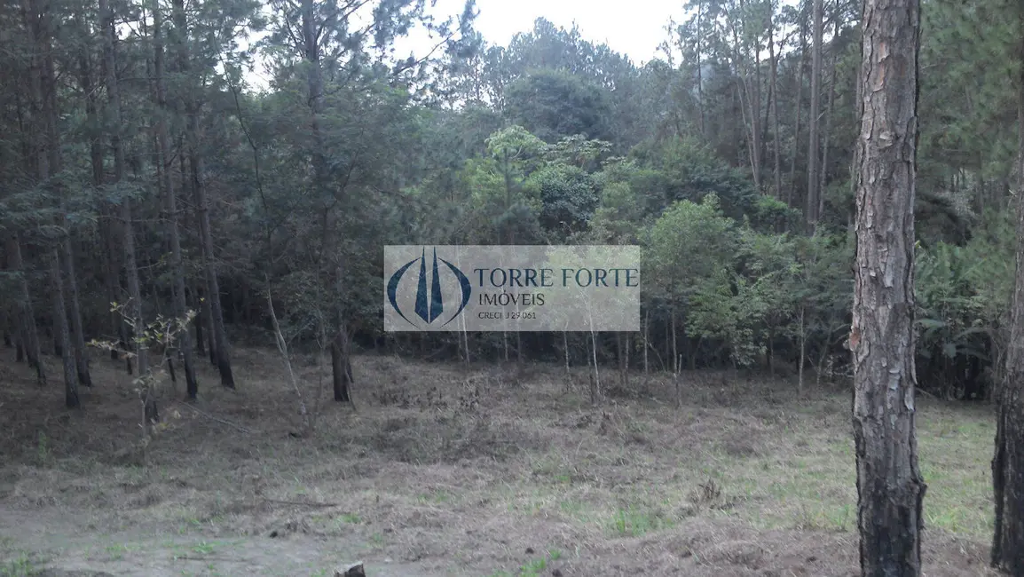 Foto 9 de Terreno / Lote à venda, 3282m2 em Rosário, Atibaia - SP
