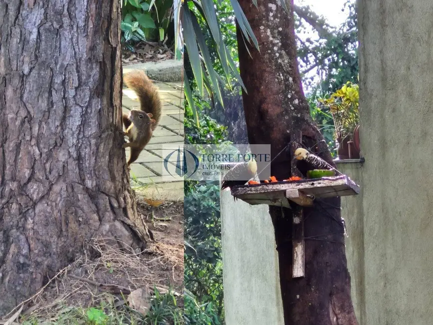 Casa de Condomínio com 3 quartos à venda, 179m2 em Jardim Olympia, São Paulo - SP - imagem 3 Foto 3 de Casa de Condomínio com 3 quartos à venda, 179m2 em Jardim Olympia, São Paulo - SP