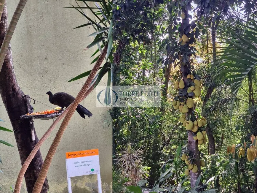 Casa de Condomínio com 3 quartos à venda, 179m2 em Jardim Olympia, São Paulo - SP - imagem 6 Foto 6 de Casa de Condomínio com 3 quartos à venda, 179m2 em Jardim Olympia, São Paulo - SP