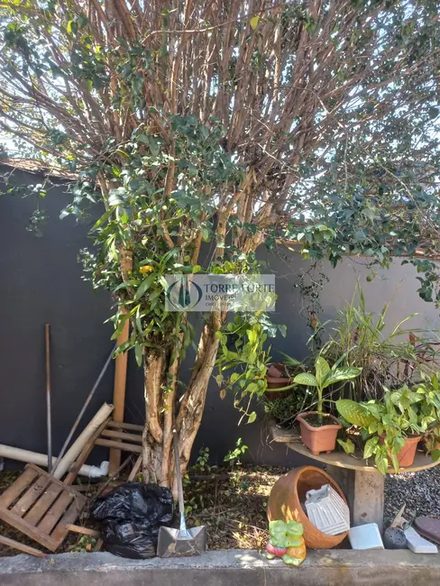 Foto 9 de Casa com 3 quartos à venda, 300m2 em Chácara Cruzeiro do Sul, São Paulo - SP