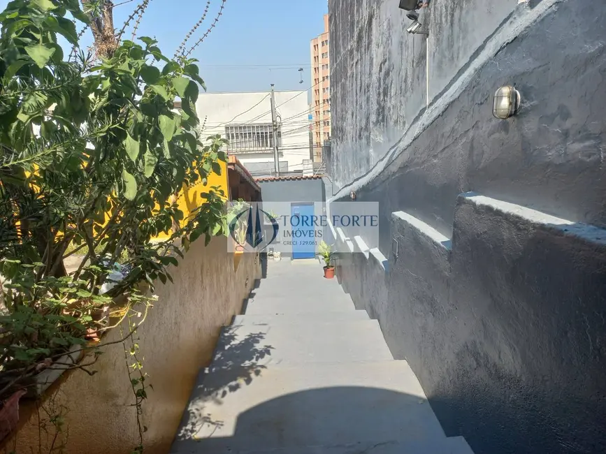 Foto 3 de Casa com 3 quartos à venda, 300m2 em Chácara Cruzeiro do Sul, São Paulo - SP