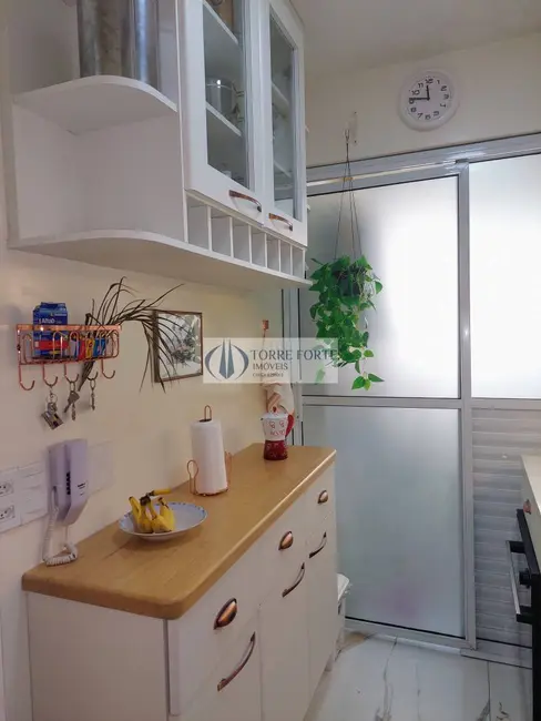 Foto 8 de Apartamento com 3 quartos à venda, 61m2 em Cambuci, São Paulo - SP