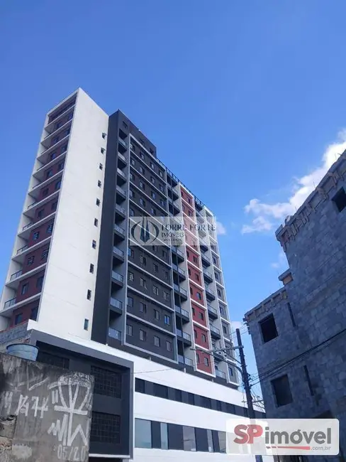 Foto 2 de Apartamento com 2 quartos à venda, 40m2 em Vila Carmosina, São Paulo - SP