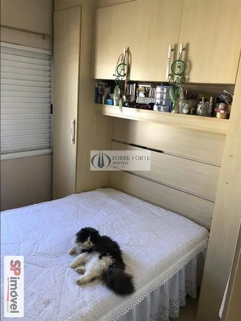 Foto 5 de Casa com 3 quartos à venda, 76m2 em Vila Curuçá, São Paulo - SP