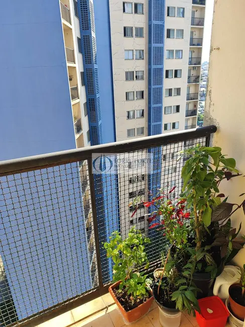 Apartamento com 3 quartos à venda, 78m2 em Sítio Pinheirinho, São Paulo - SP - imagem 3 Foto 3 de Apartamento com 3 quartos à venda, 78m2 em Sítio Pinheirinho, São Paulo - SP